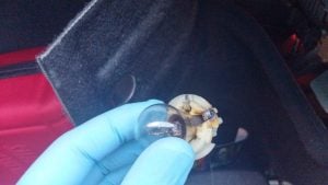 melted turn signal socket